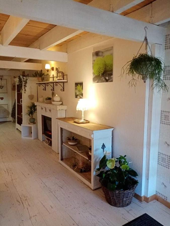Gite Ferme La Rosee Blanche Ban-de-Laveline Экстерьер фото