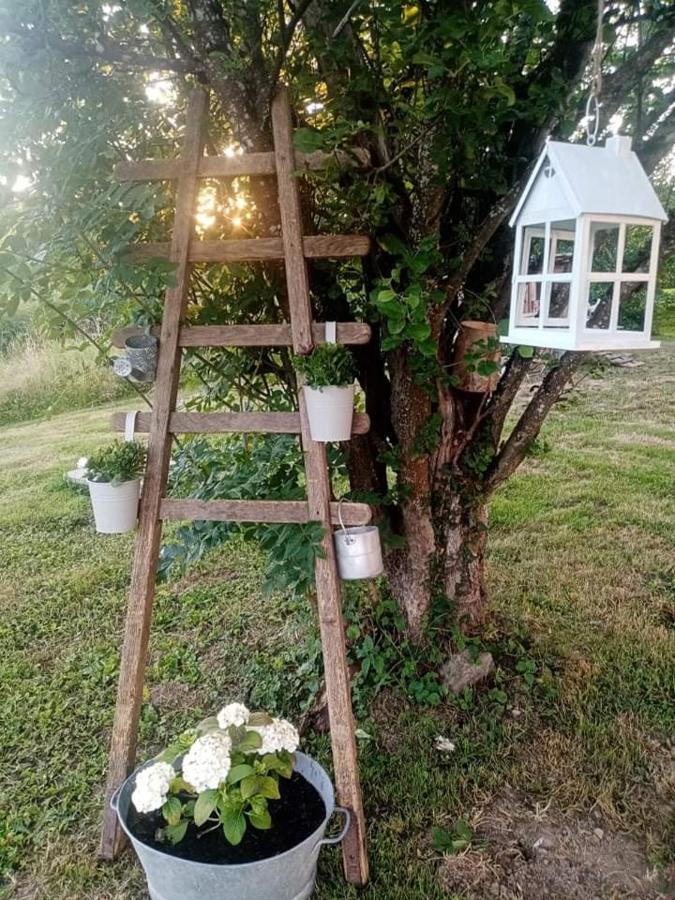 Gite Ferme La Rosee Blanche Ban-de-Laveline Экстерьер фото